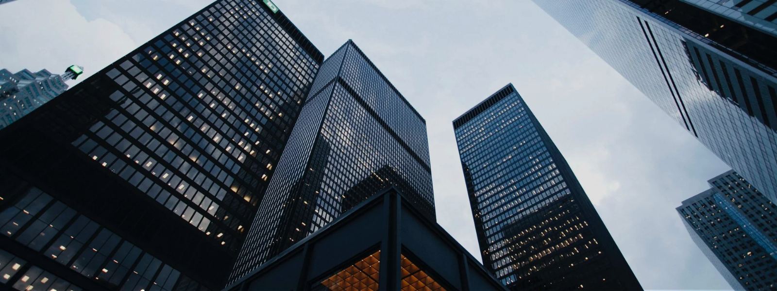 We build a curated portfolio of brands that complement and strengthen each other